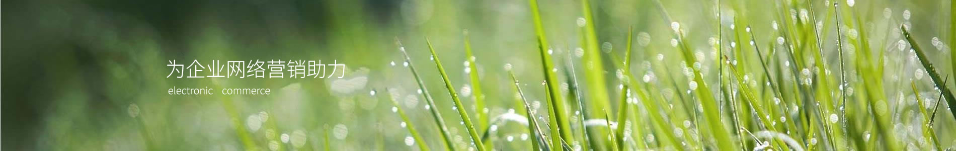 кɿƼ޹˾